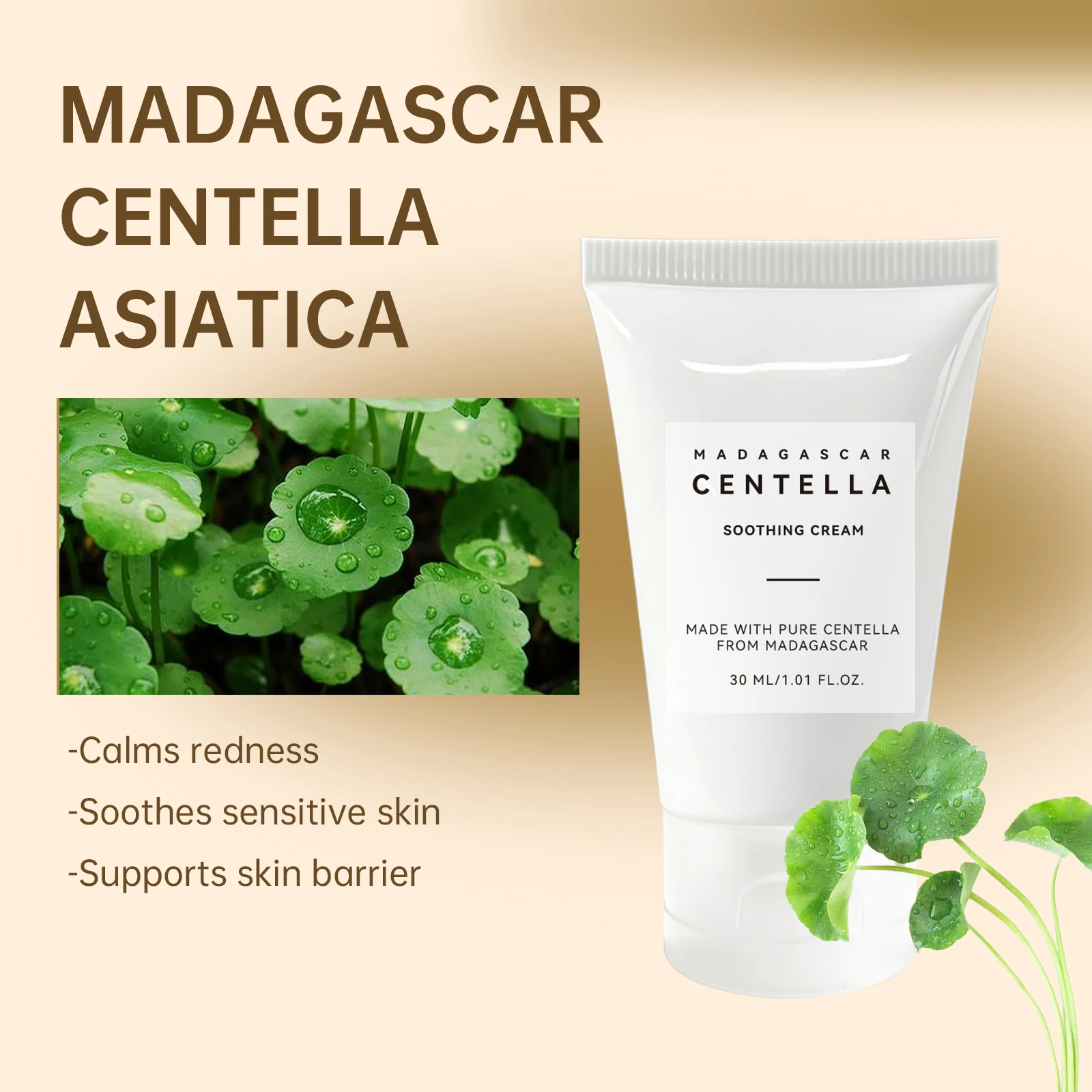 Centella Asiatica Beruhigendes – Centella Asiatica Toner Bewertung und Preis